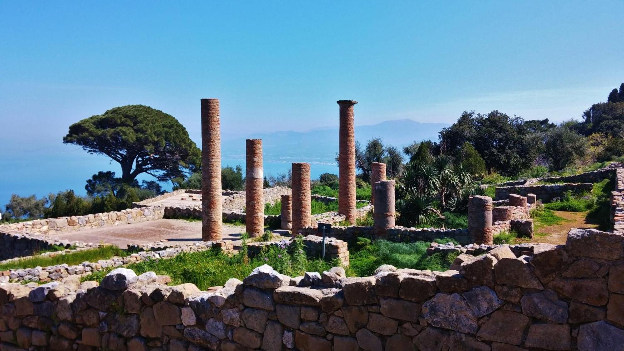 B&B Il Giardino Di Zefiro Gioiosa Marea Buitenkant foto