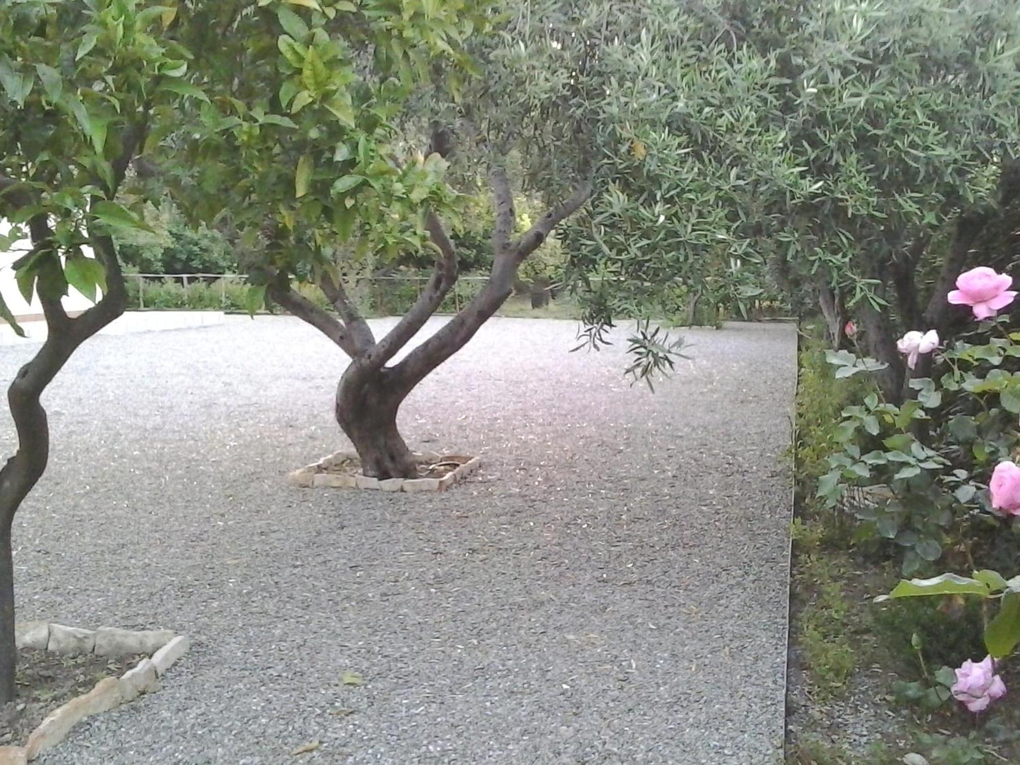 B&B Il Giardino Di Zefiro Gioiosa Marea Buitenkant foto